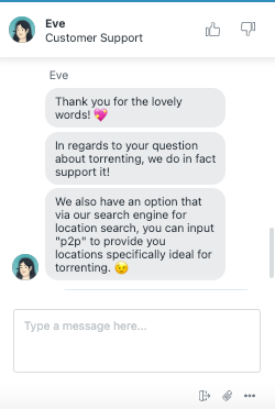 Example of a customer support chat