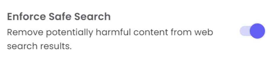 Enforce safe search option