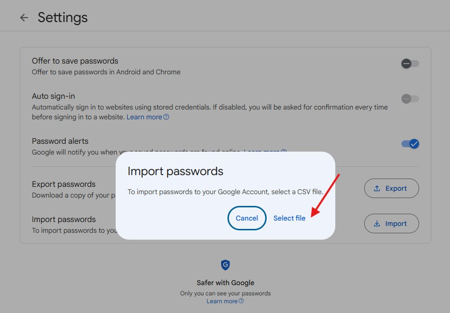 Google Password Manager select file