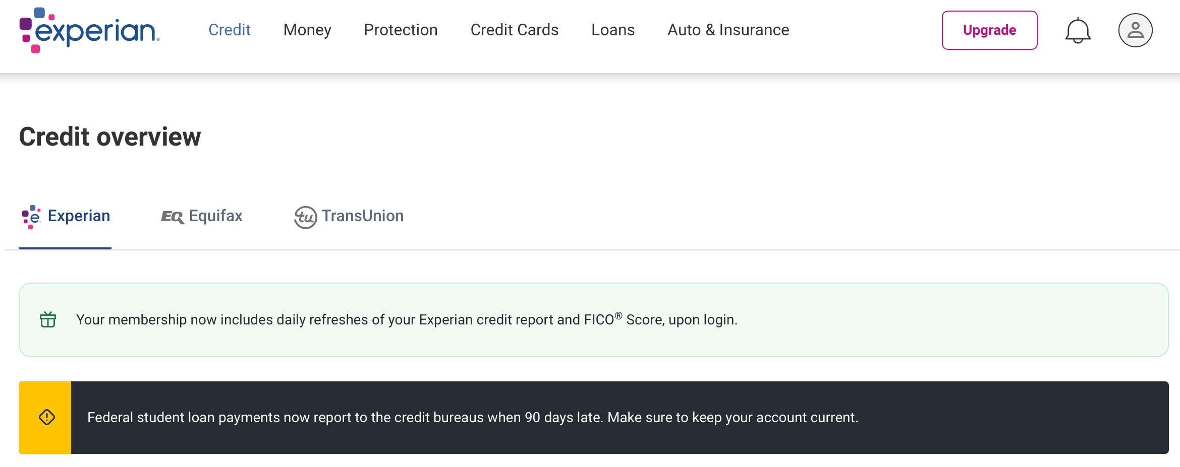 Screenshot of Experian Credit Overview for All About Cookies review