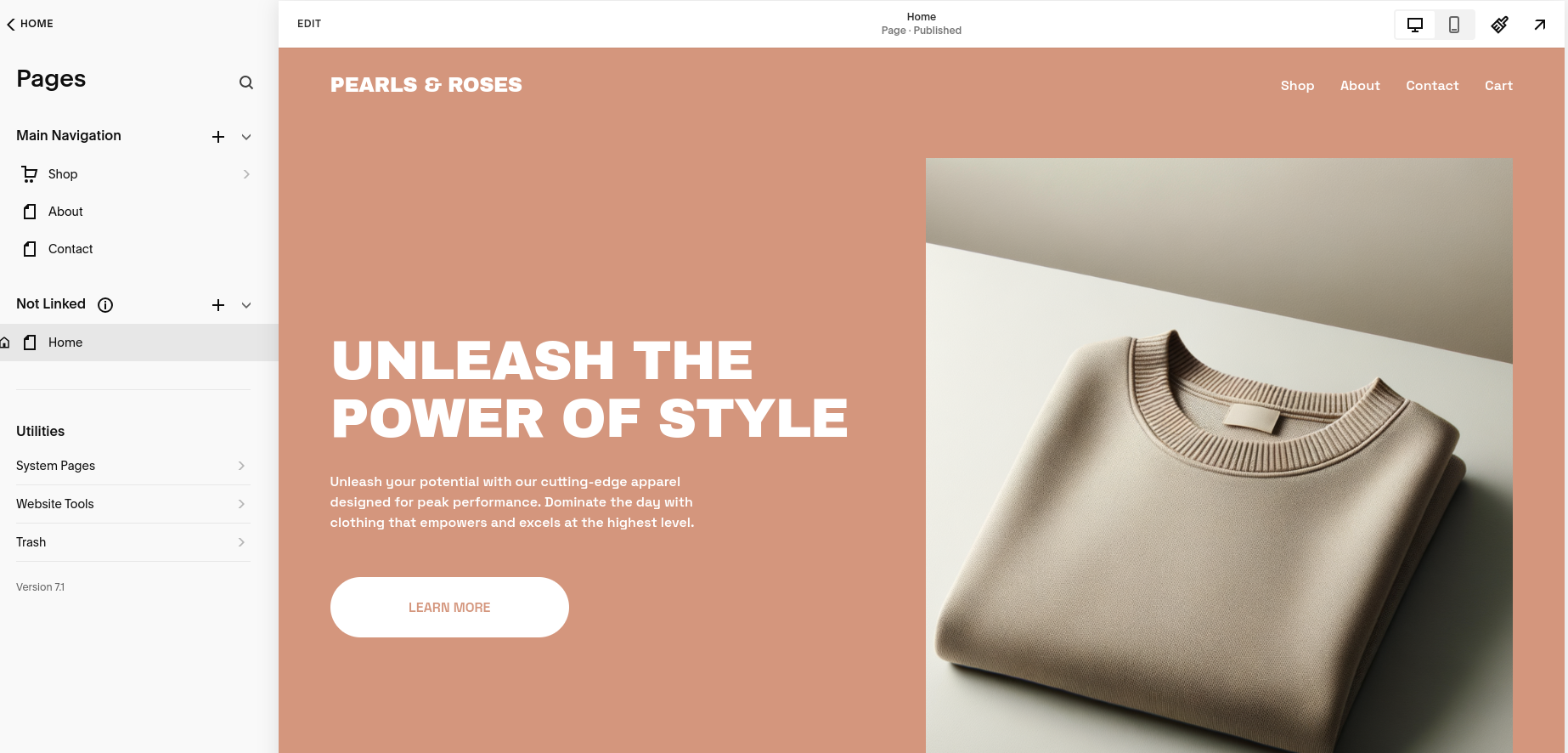 Squarespace homepage, featuring the text "Unleash the power of style".