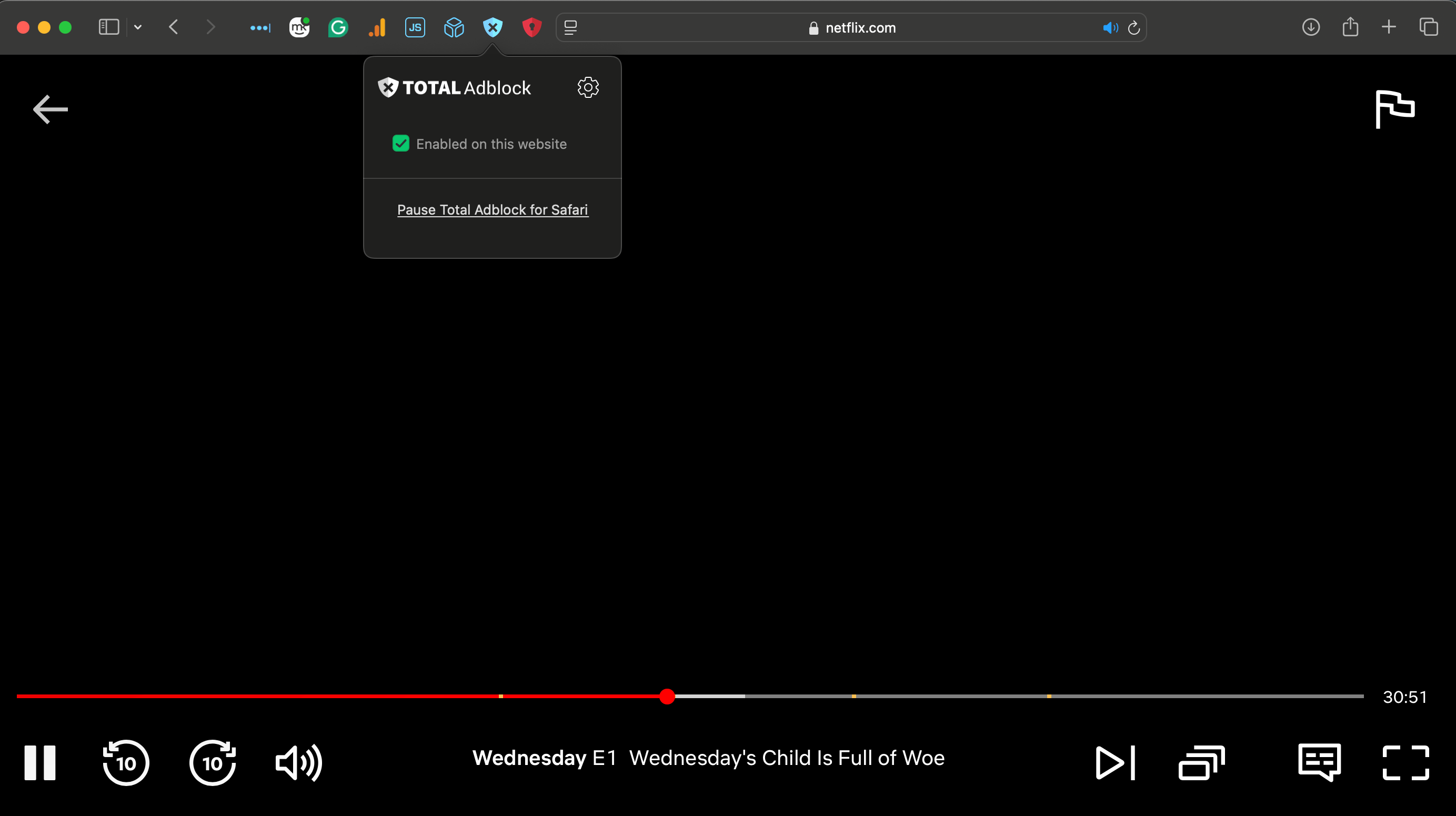 Total Adblock blocks ads on Netflix