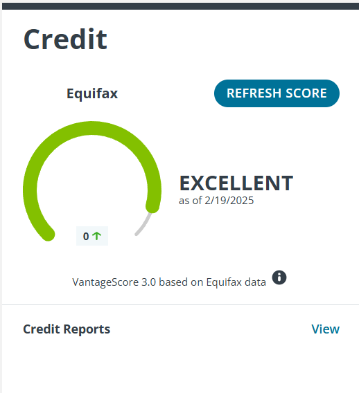 ID Watchdog credit section of dashboard