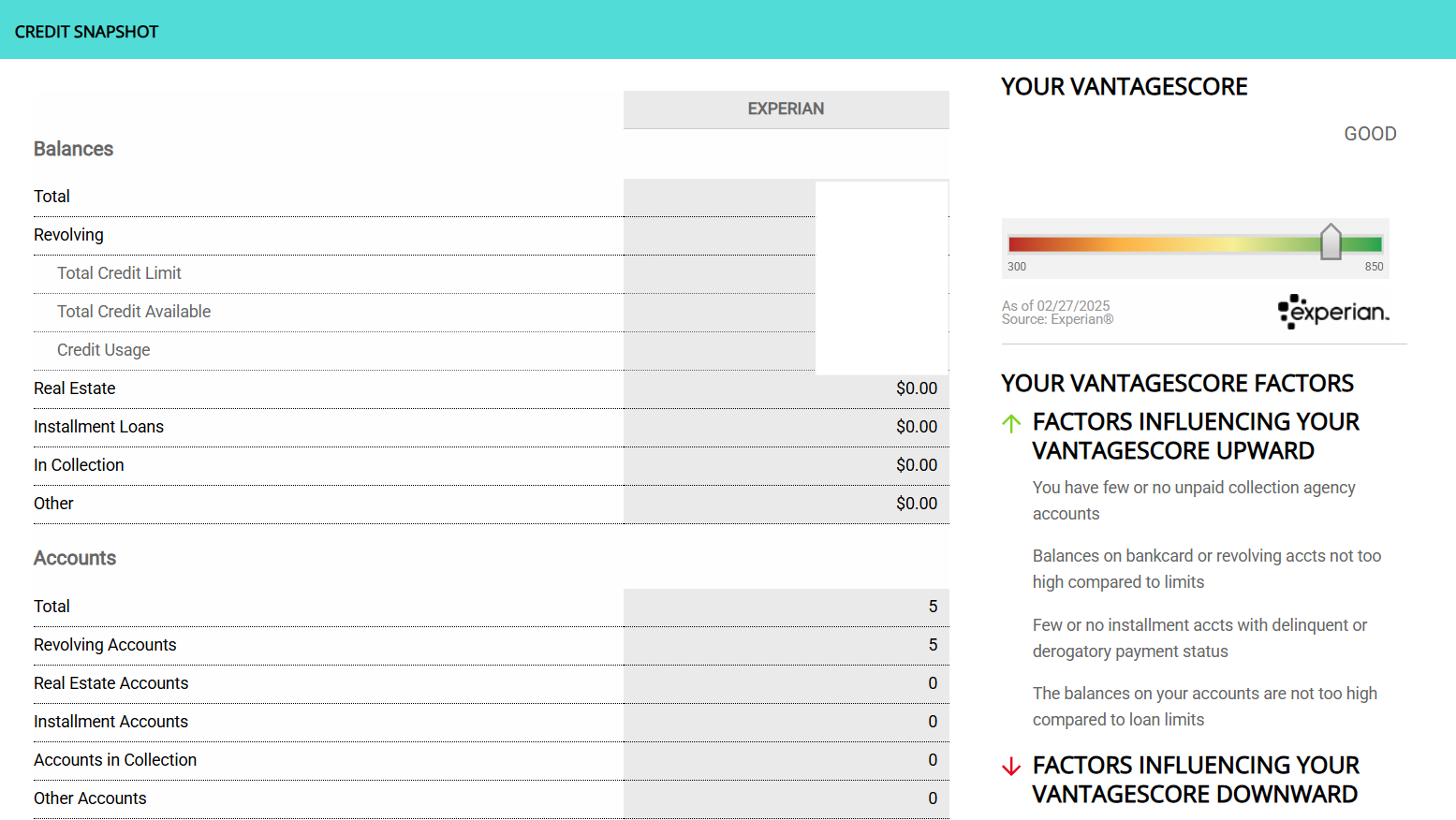 IDnotify credit snapshot page