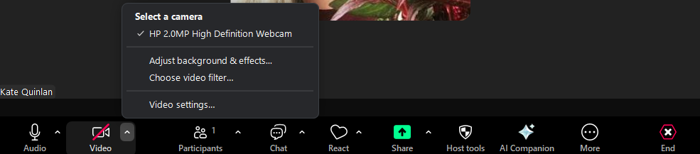 Turn off HD on Zoom