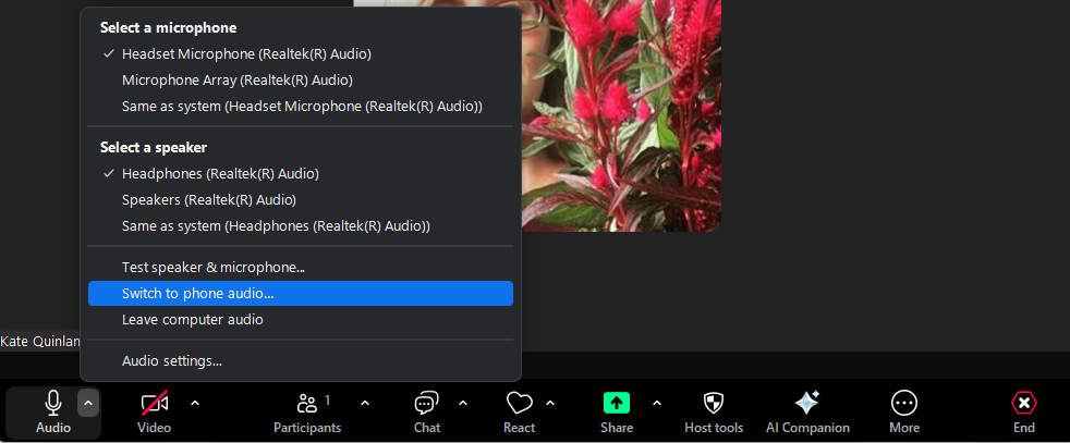 Switch to using phone audio on Zoom