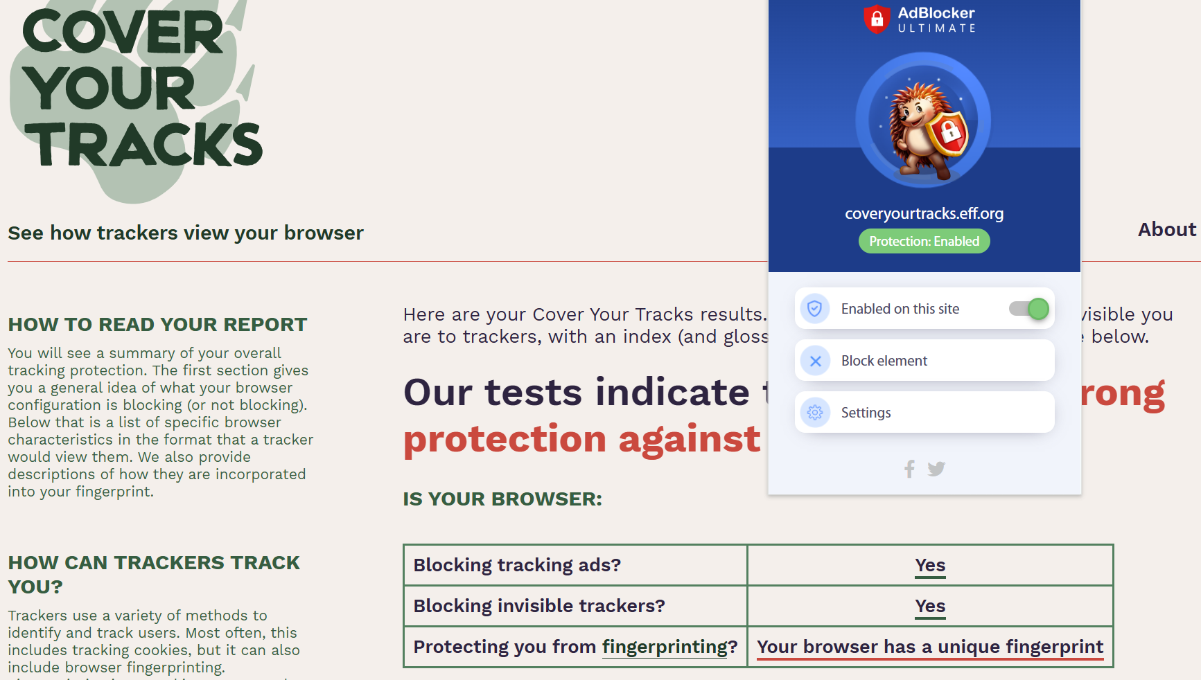 AdBlocker Ultimate's Cover Your Tracks test results (2/3)