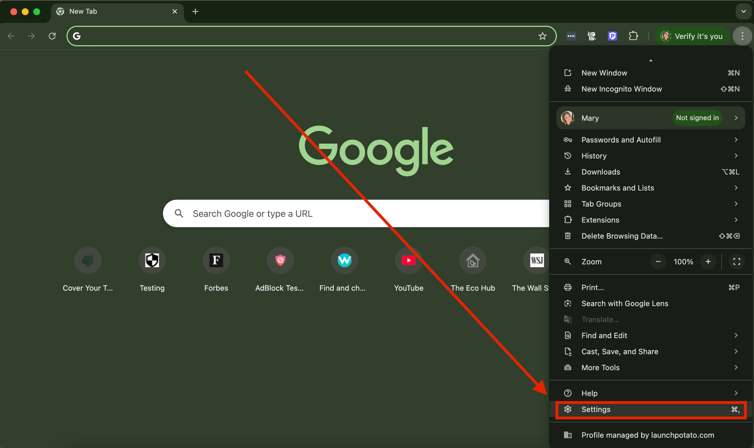 Access Chrome settings