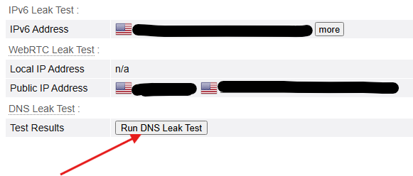 Run DNS Leak Test