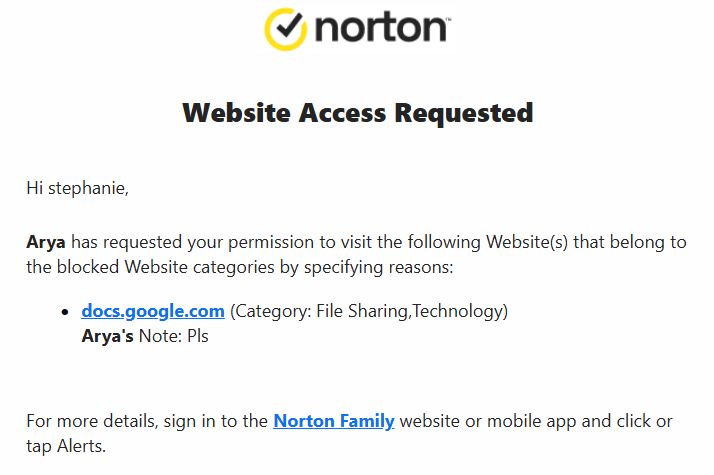 Norton Family restricted website access