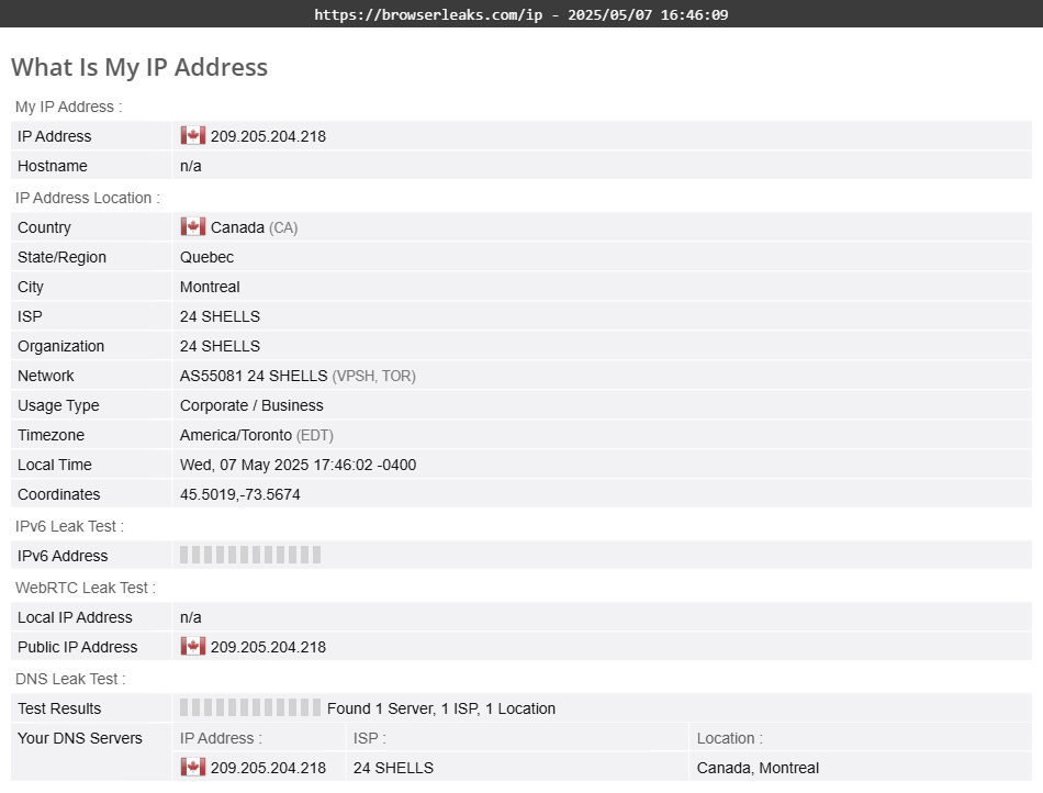 TorGuard's DNS leak test results (passed)