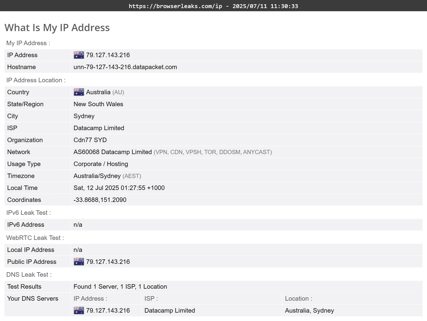 Norton Secure VPN's DNS leak test results (pass). 