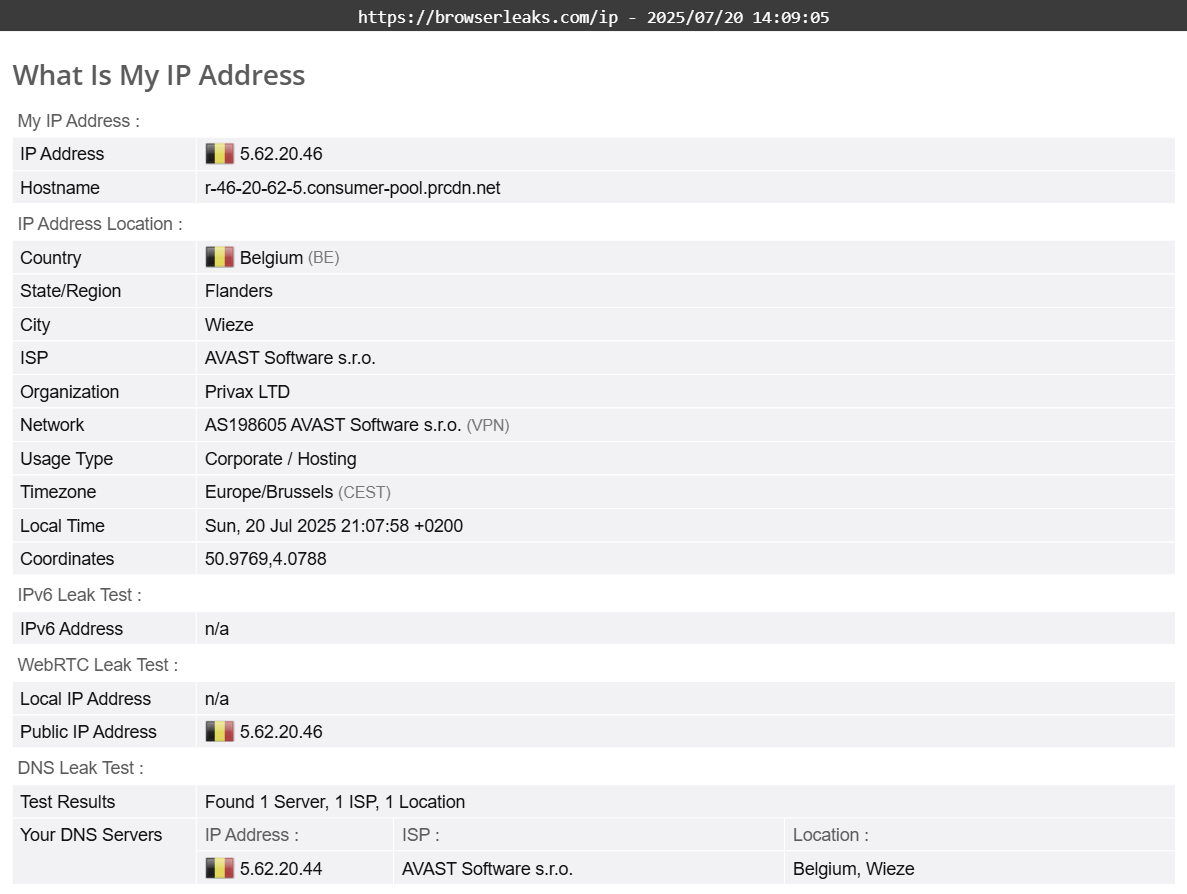 Avast SecureLine VPN's DNS leak test results (pass)