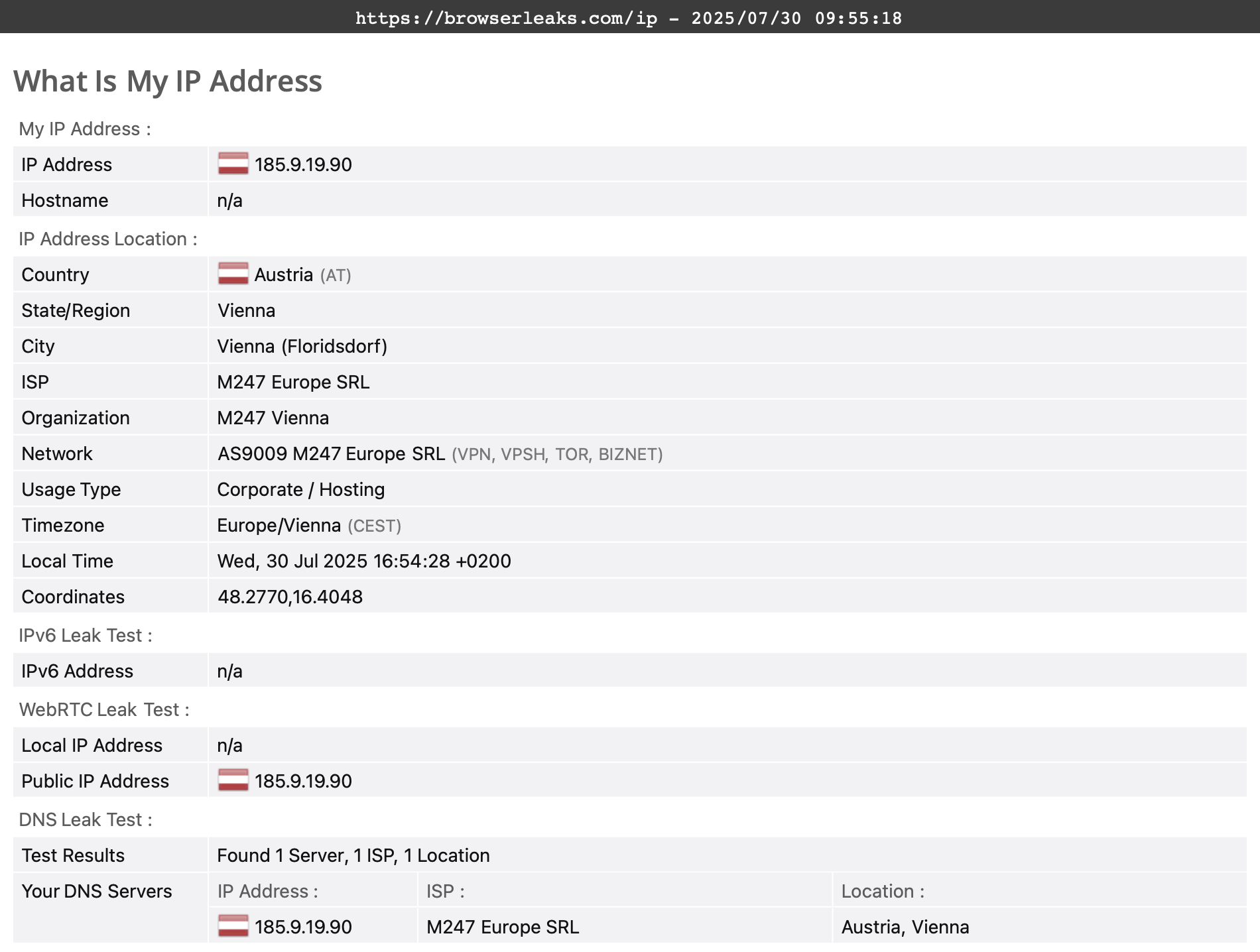PrivateVPN's DNS leak test results (pass)