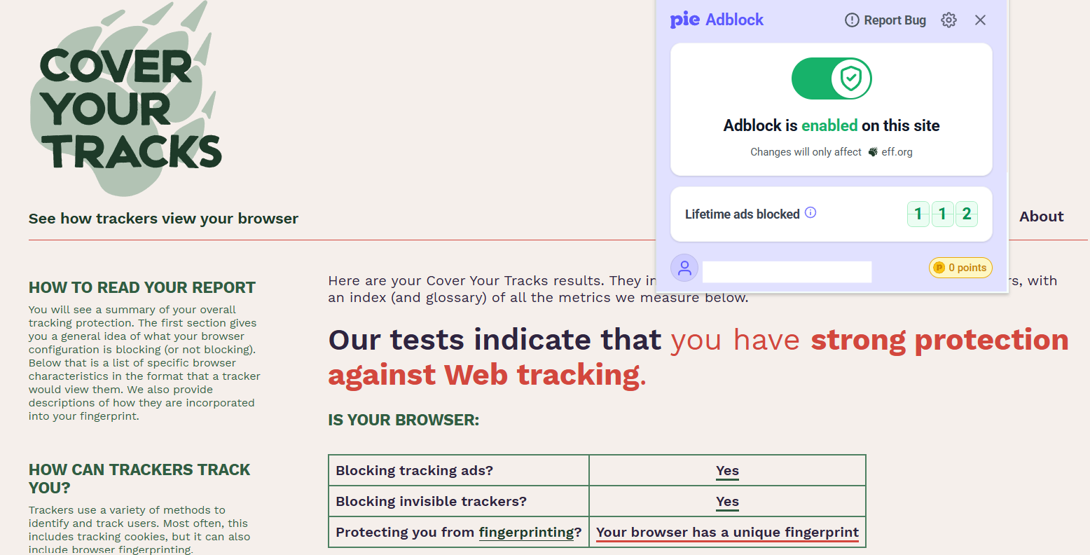 Pie Adblock's Cover Your Tracks results (2/3)