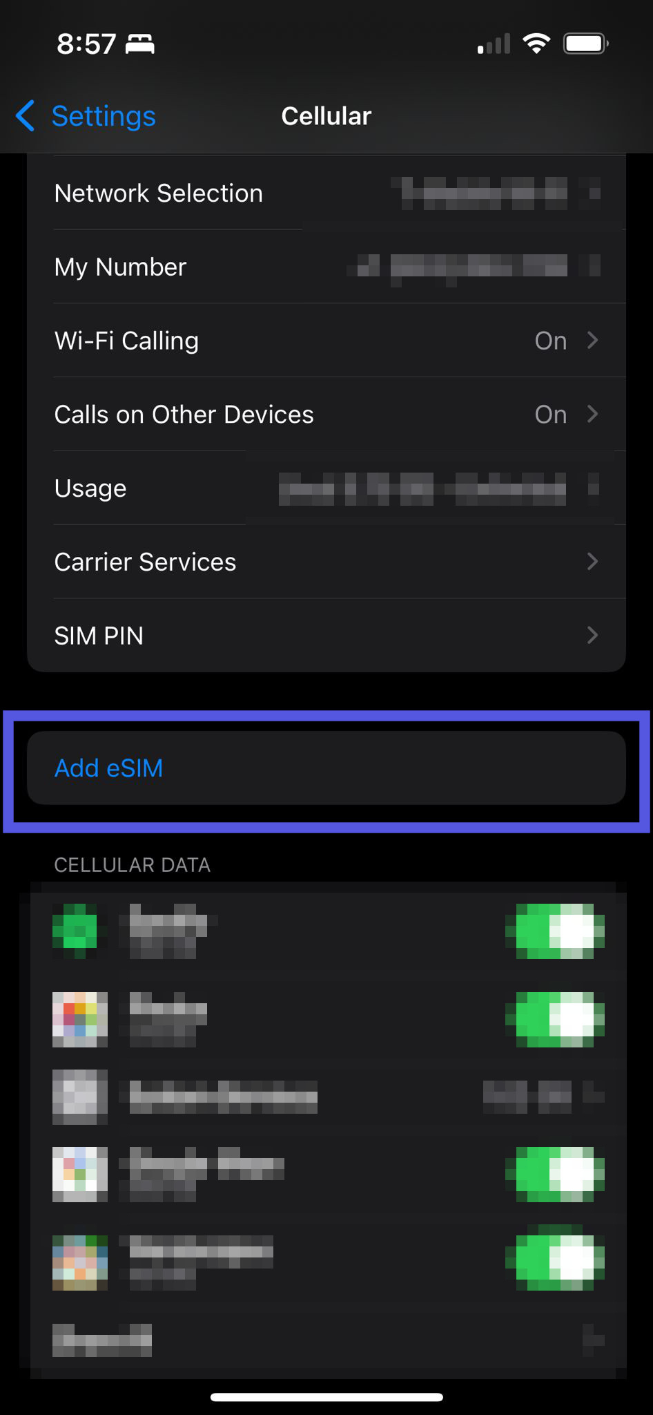 Add eSIM to activate eSIM on iPhone