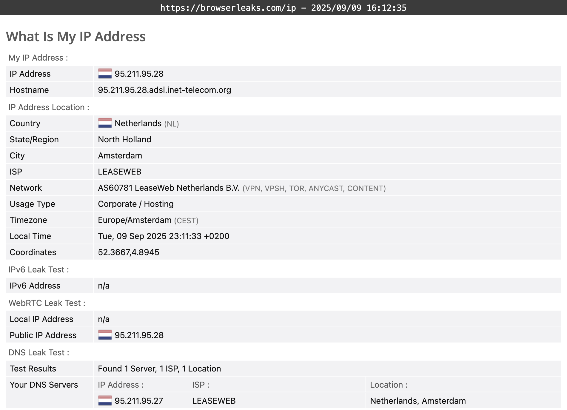 IVPN's DNS leak test results (passed)