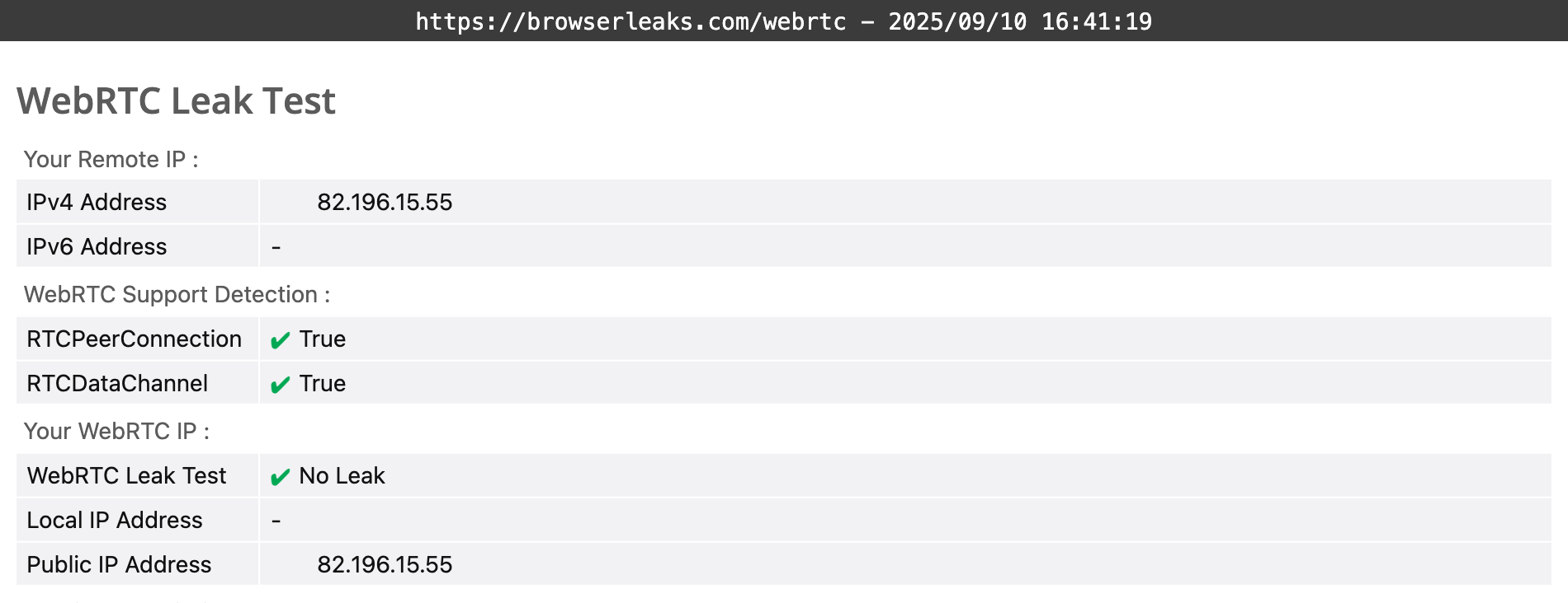 Turbo VPN's WebRTC leak test results (passed)
