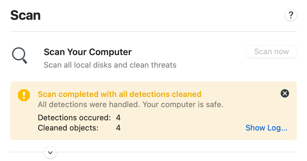 ESET computer scan results (4 detections occured, 4 cleaned objects)