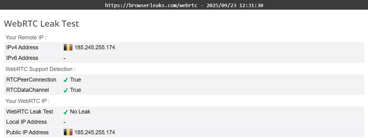 NordVPN's WebRTC leak test results (pass)