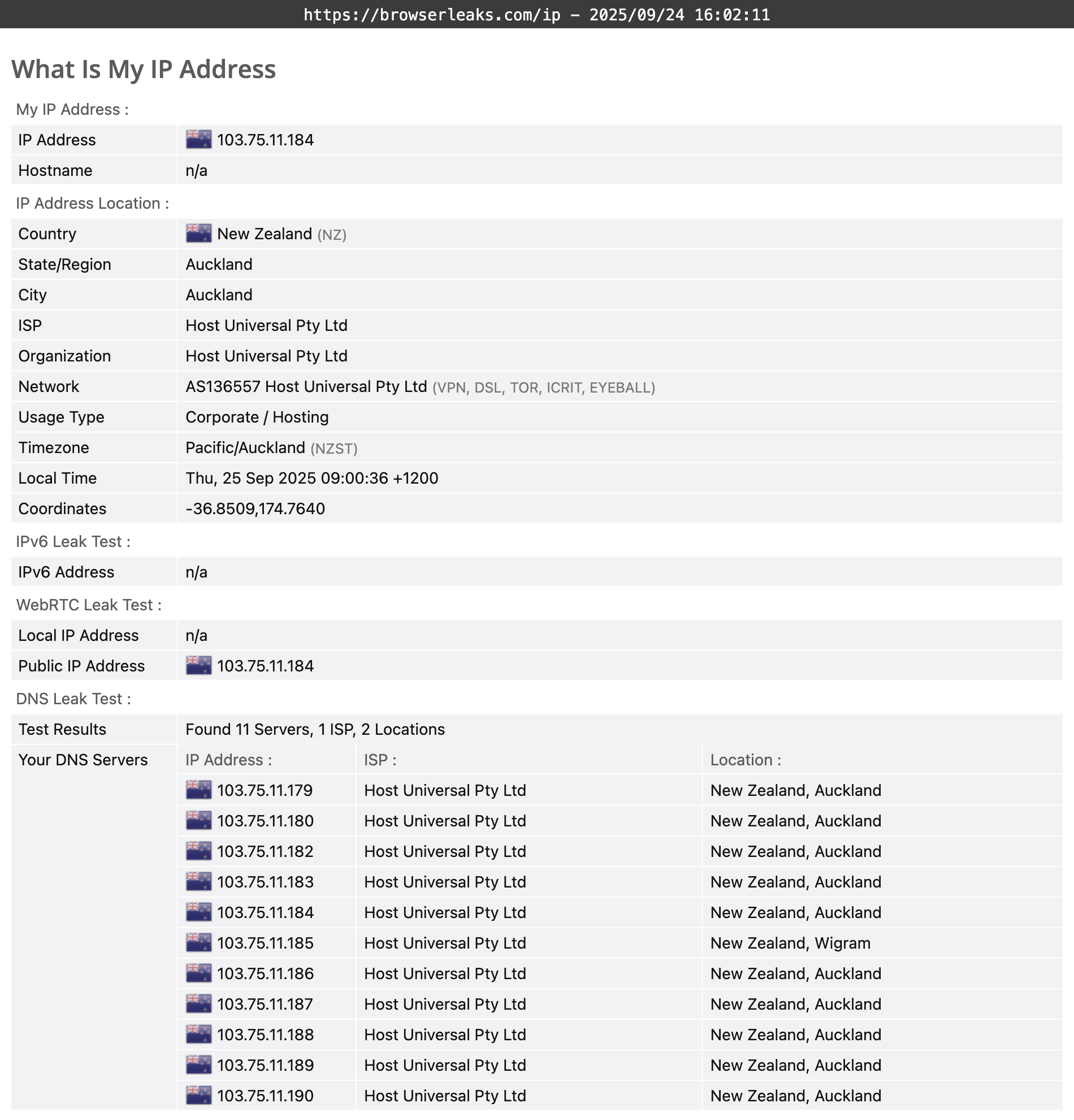 Proton VPN's DNS leak test results (pass)