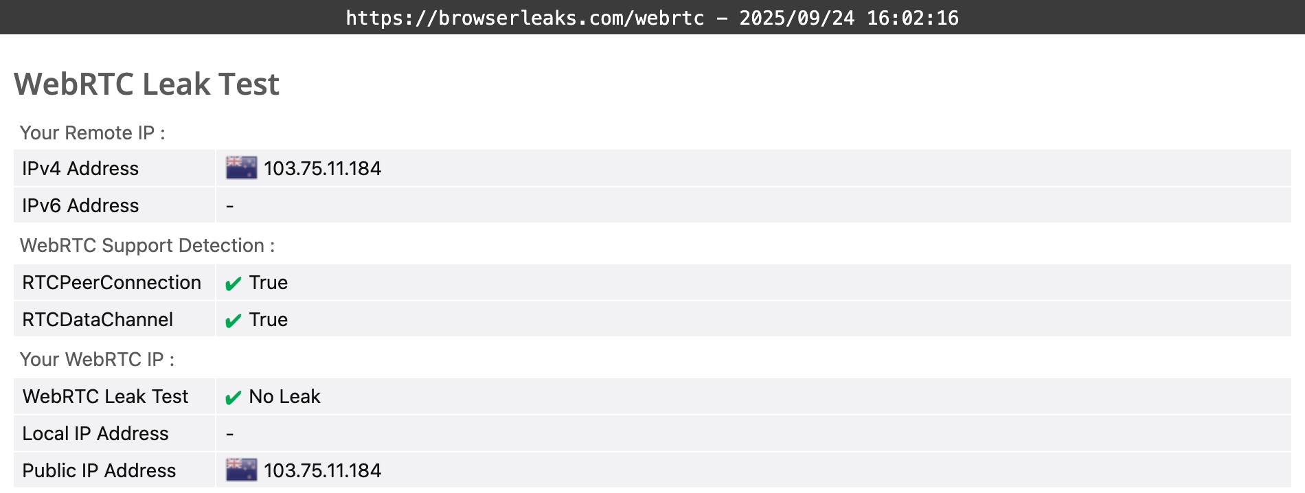 Proton VPN's WebRTC leak test results (pass)
