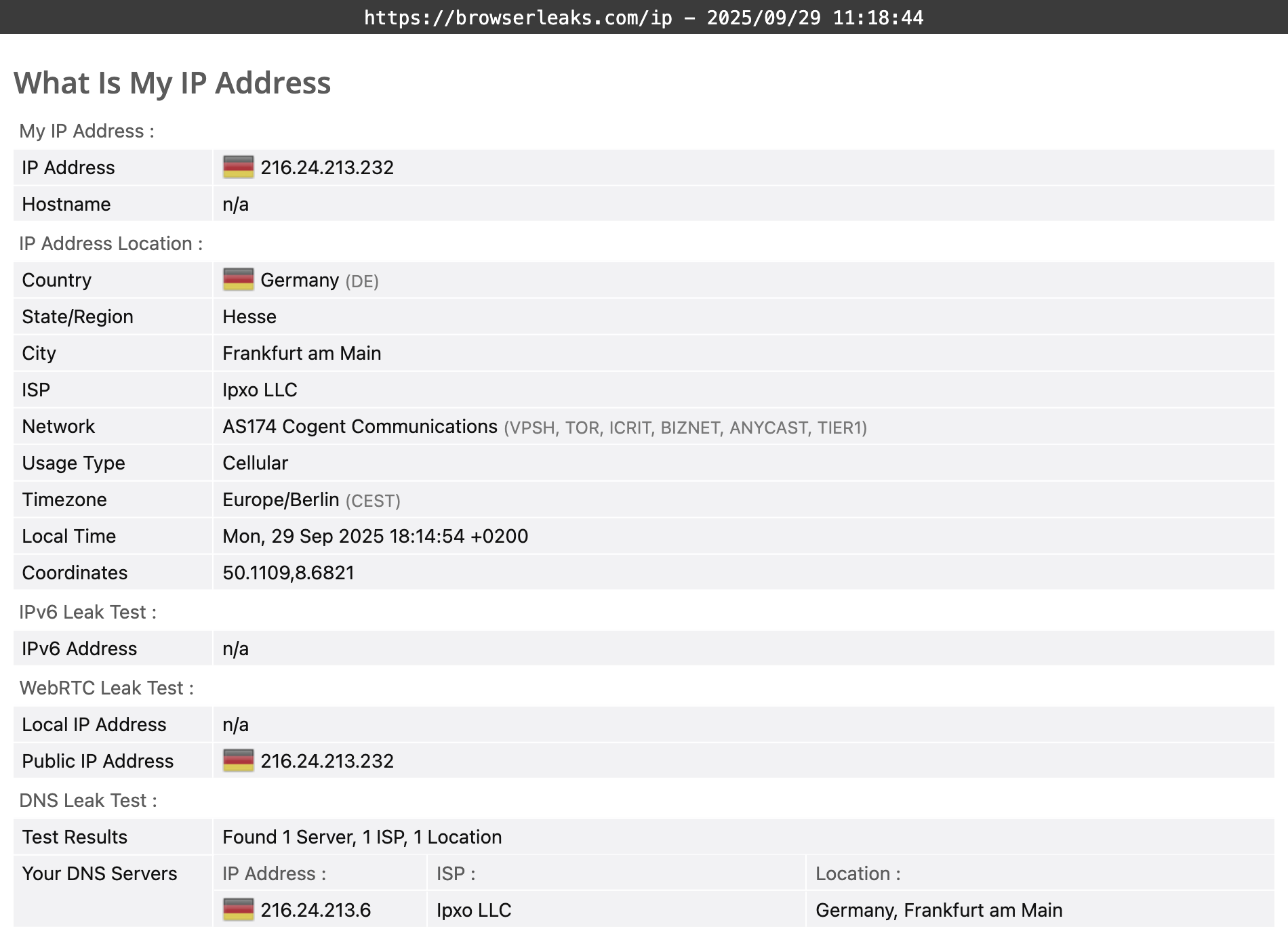CyberGhost's DNS leak test results (pass)