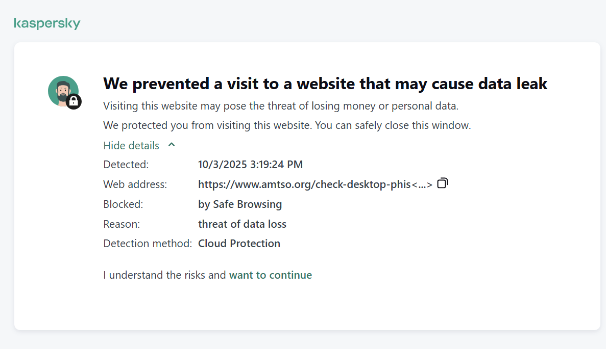 Kaspersky blocking a phishing website