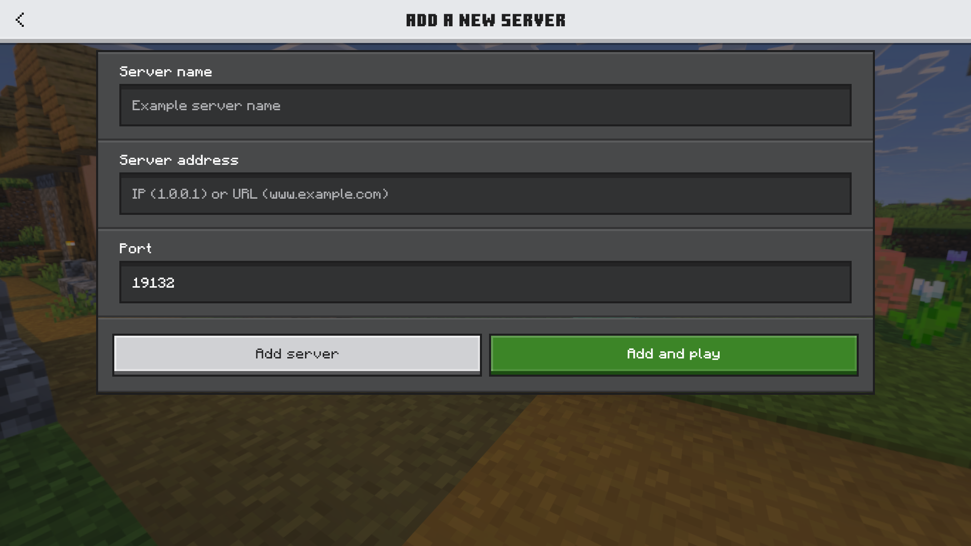 Minecraft Server window