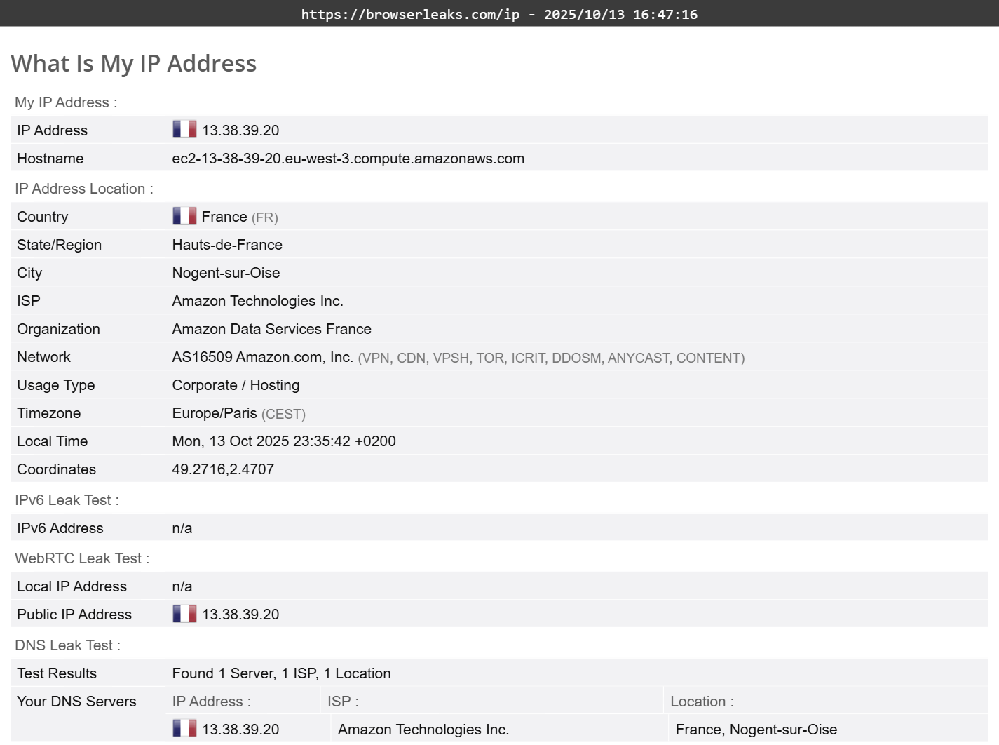 Norton Secure VPN's DNS leak test results (pass). 