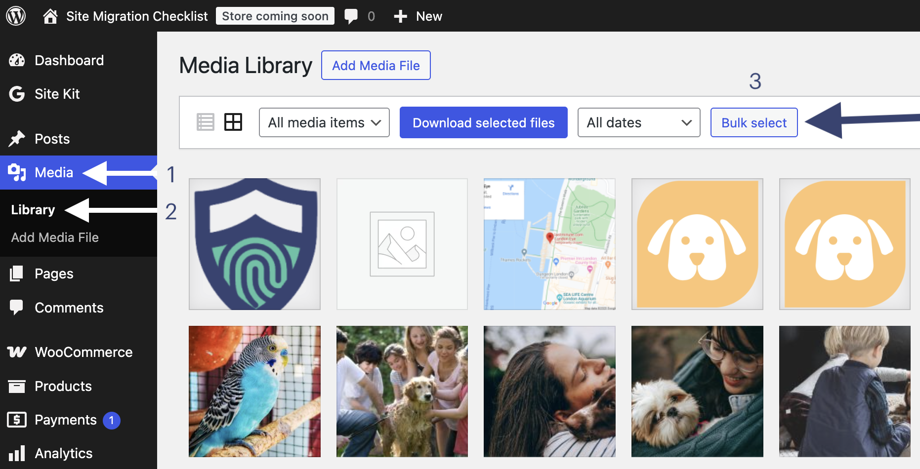 Download media library