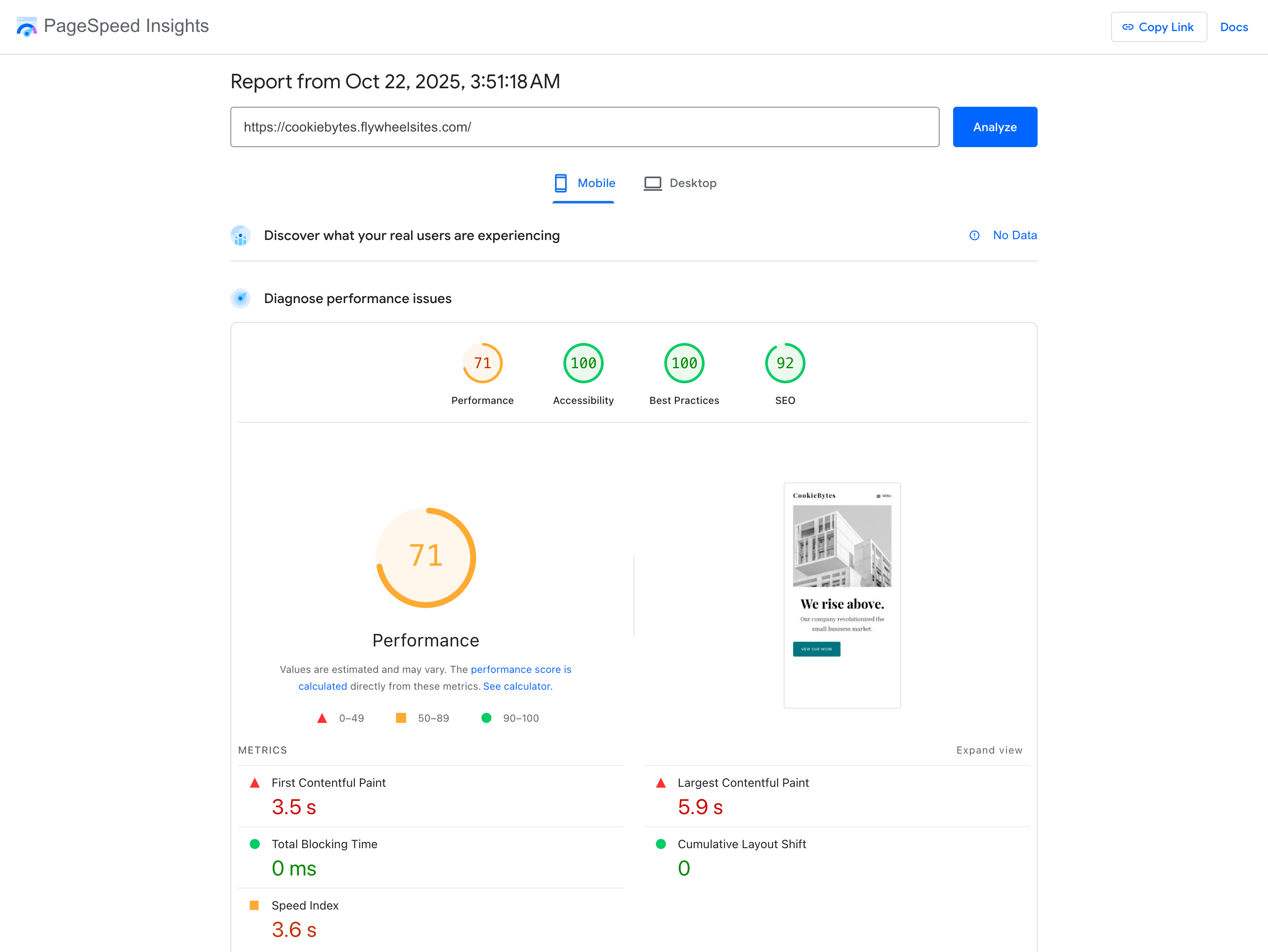 Flywheel pagespeed insights