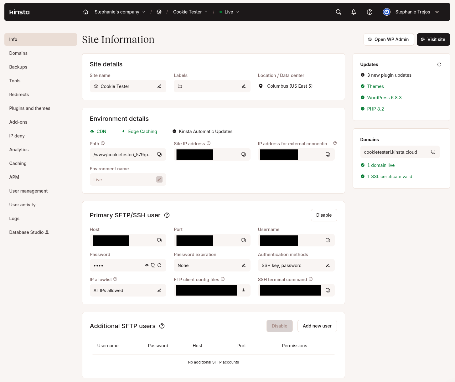 Kinsta admin wordpress info