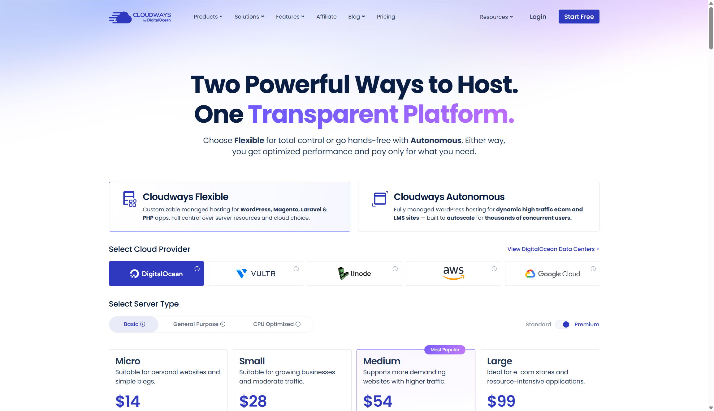 Cloudways server options