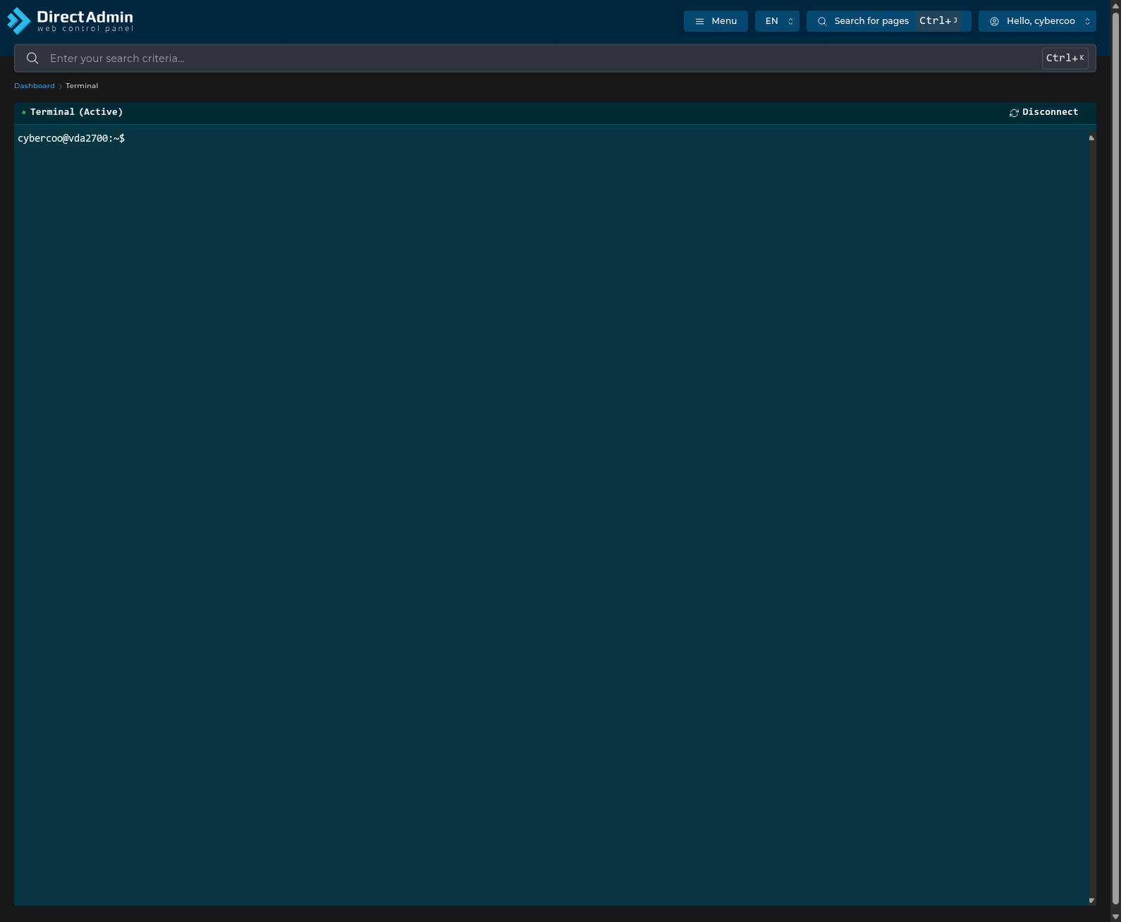 directadmin terminal