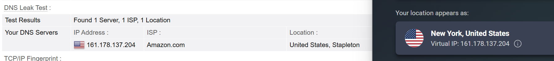AVG VPN DNS leak test
