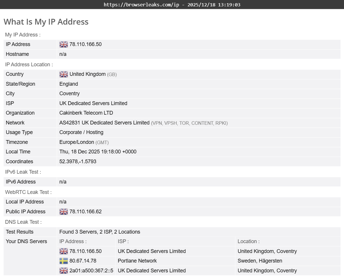 FrootVPN's DNS leak test results (passed).
