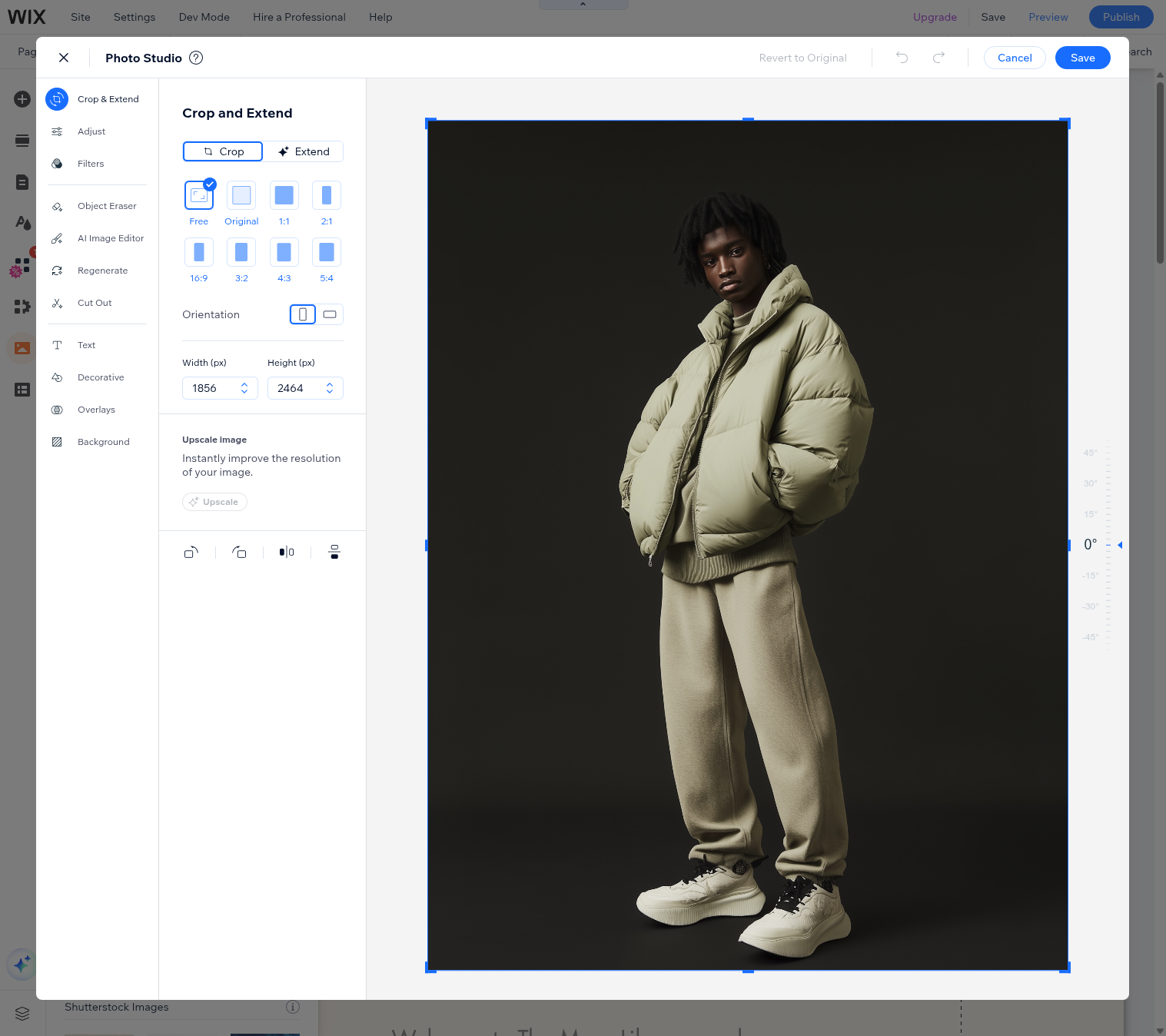 Wix best-in-class photo editor