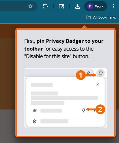 Privacy Badger extension tutorial