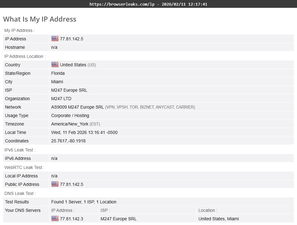 Private Internet Access's DNS leak test results (pass)