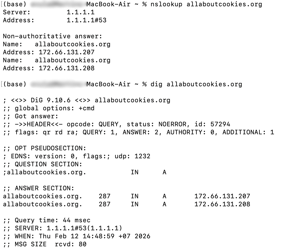 Command line code to look up DNS