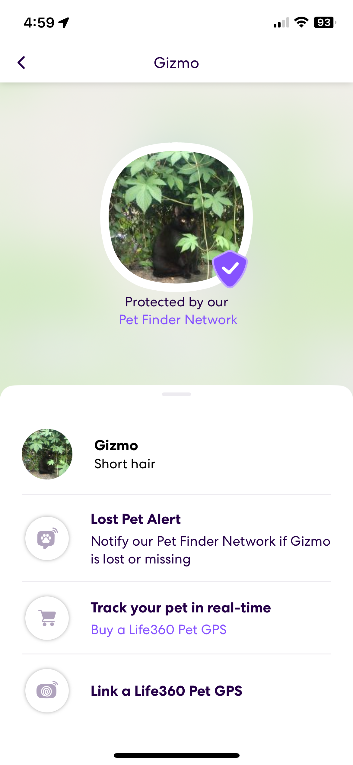 Verifying our Life360 Pet GPS account