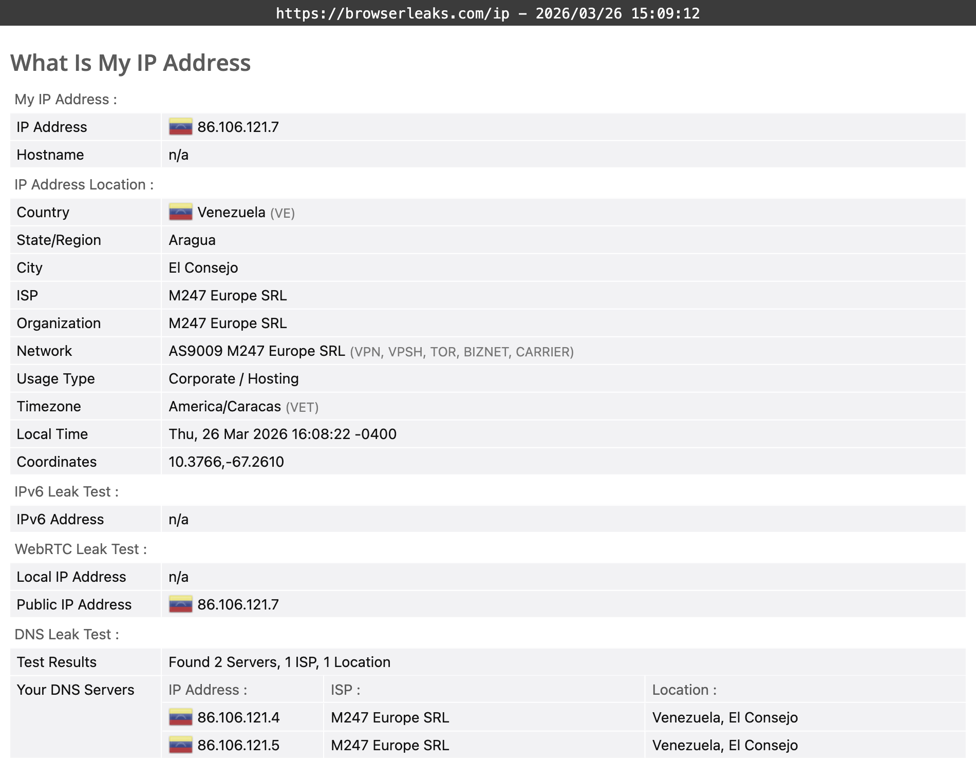 Proton VPN's DNS leak test results (pass)