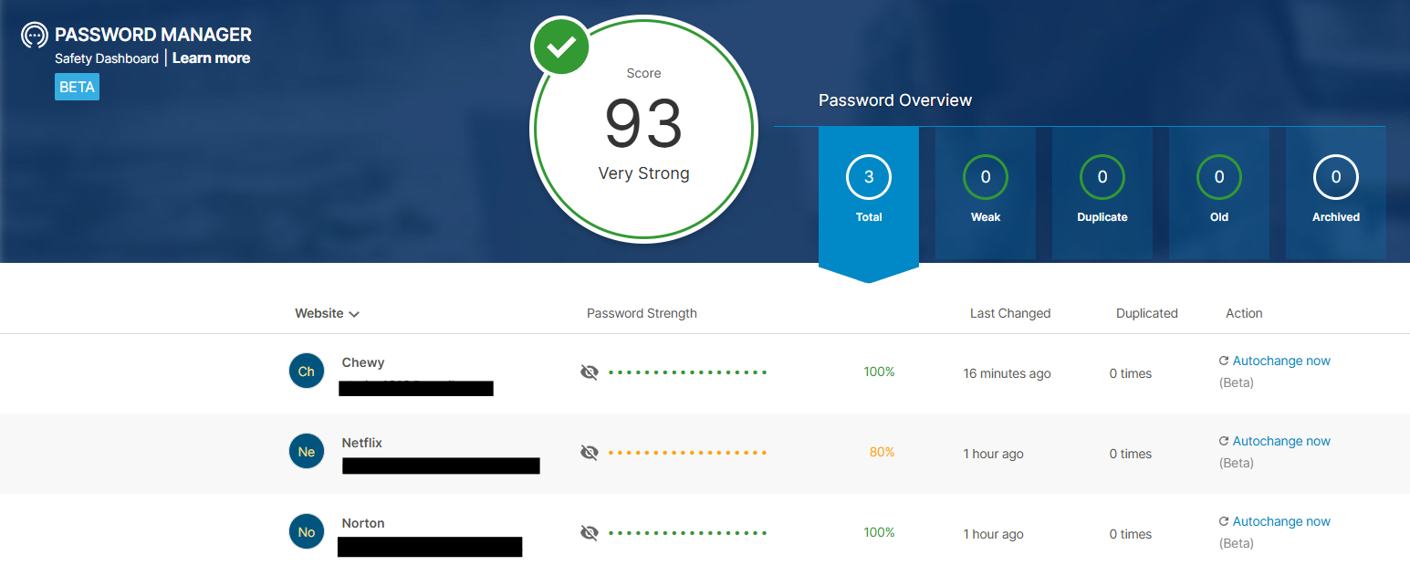 Norton Password Manager safety dashboard (93 score)