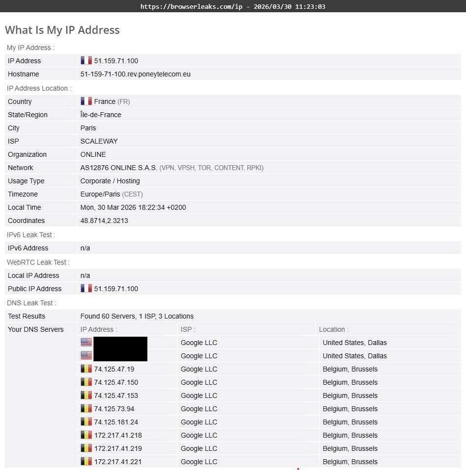 Trust.Zone VPN's DNS leak test results (passed)
