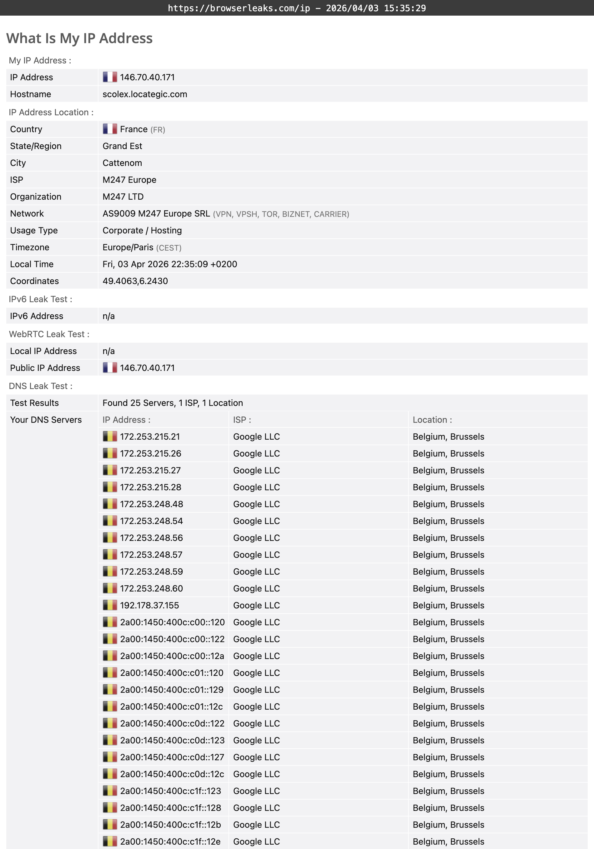 Total VPN's DNS leak test results (passed).