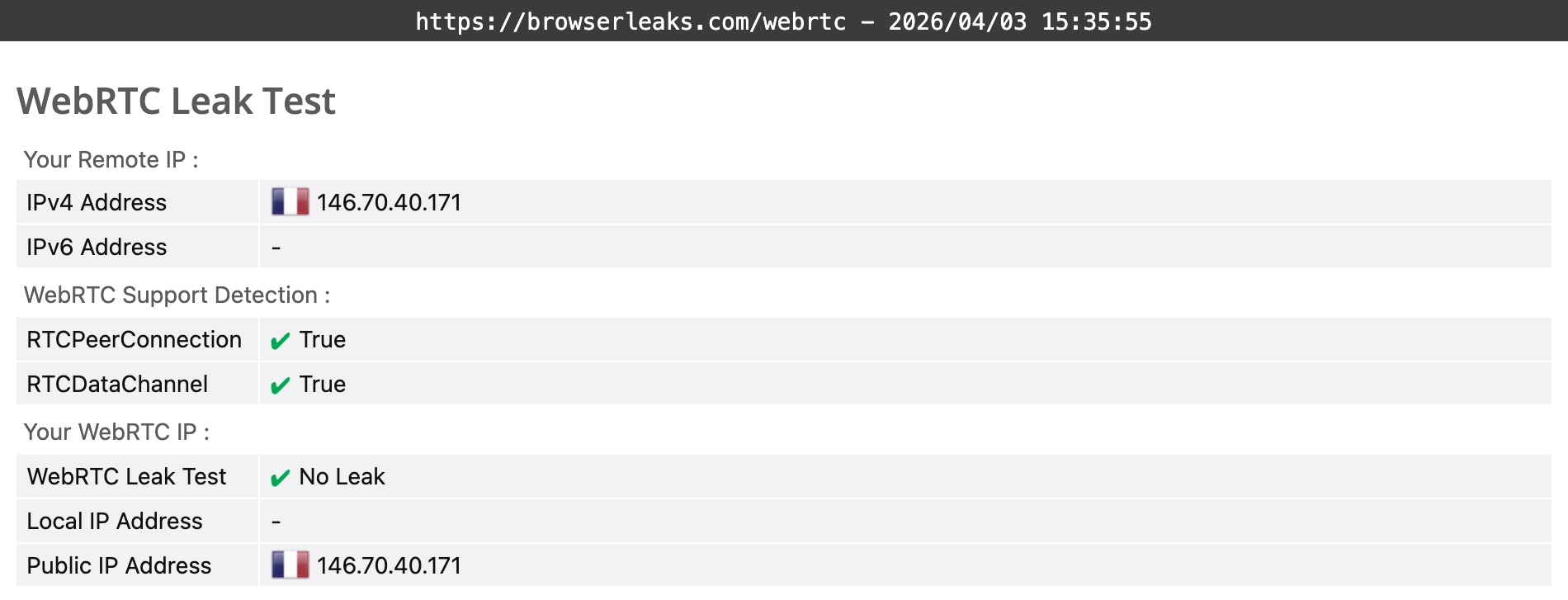 Total VPN's WebRTC leak test results (passed).