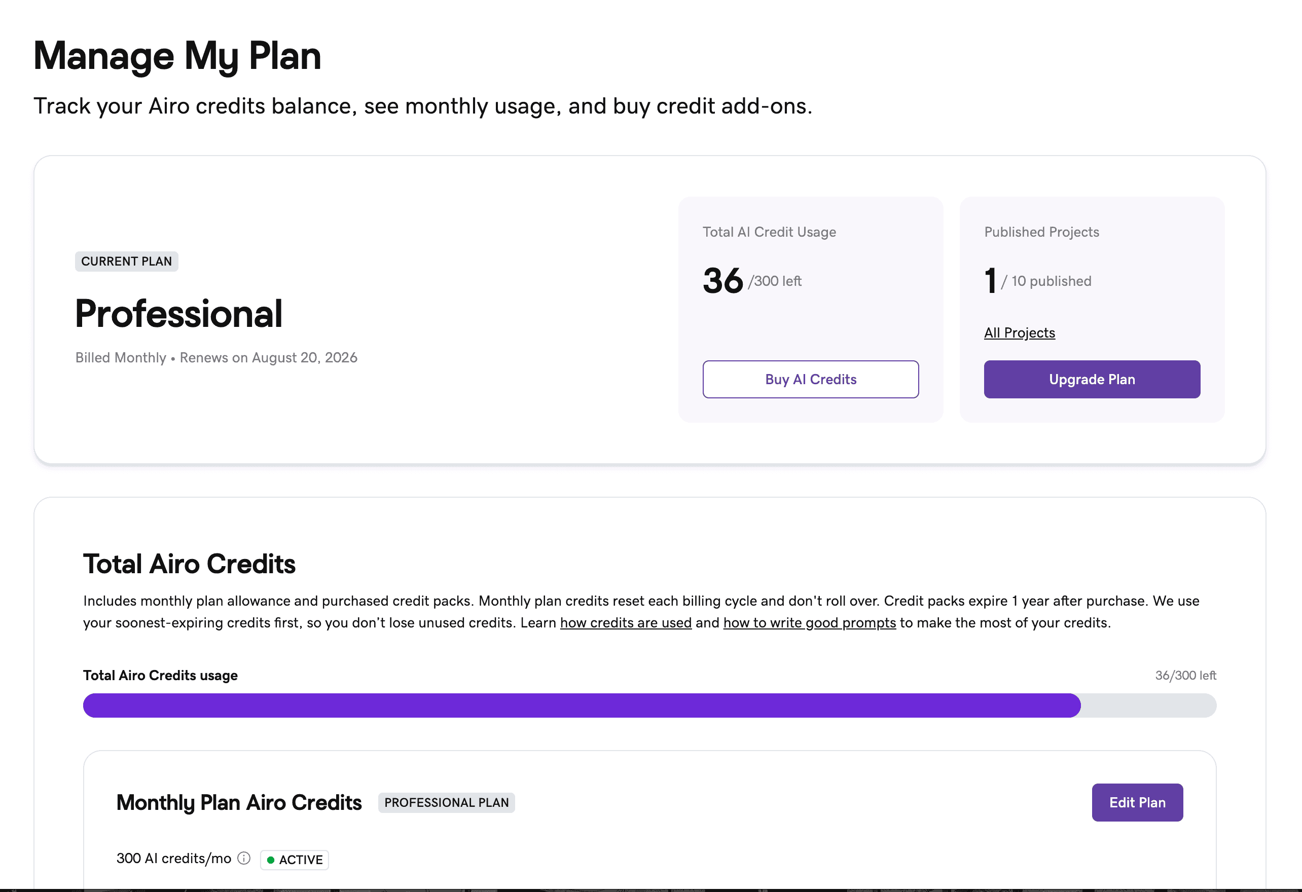 GoDaddy Airo AI credit usage dashboard