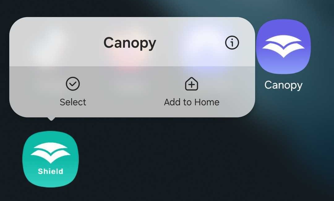 Canopy app options open (no uninstall option)