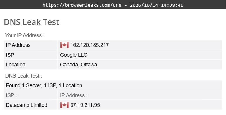 Surfshark's DNS leak test results (pass)